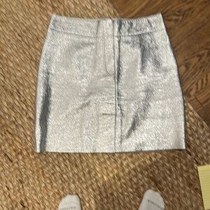 Silver Metallic Skirt